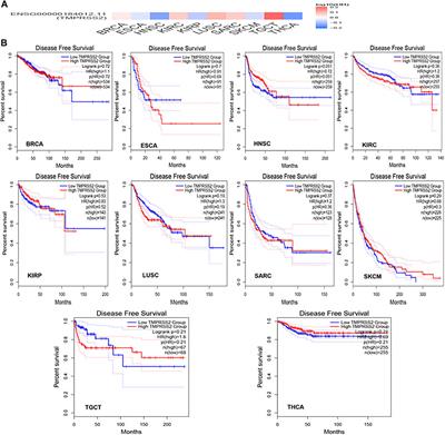 A Pan-Cancer In Silico Analysis of the COVID-19 Internalization Protease: Transmembrane Proteaseserine-2